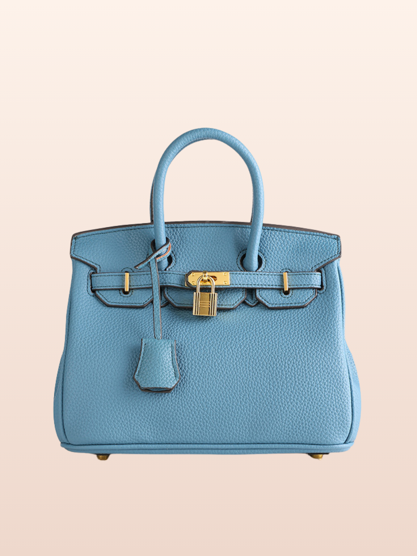 Lia | Elegant Bag